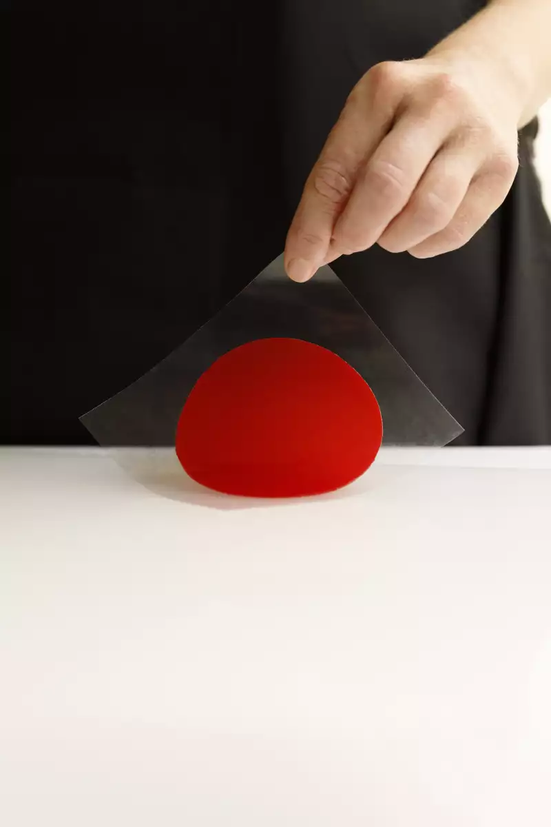 TAKE AWAY Ella Aflalo x Take Away