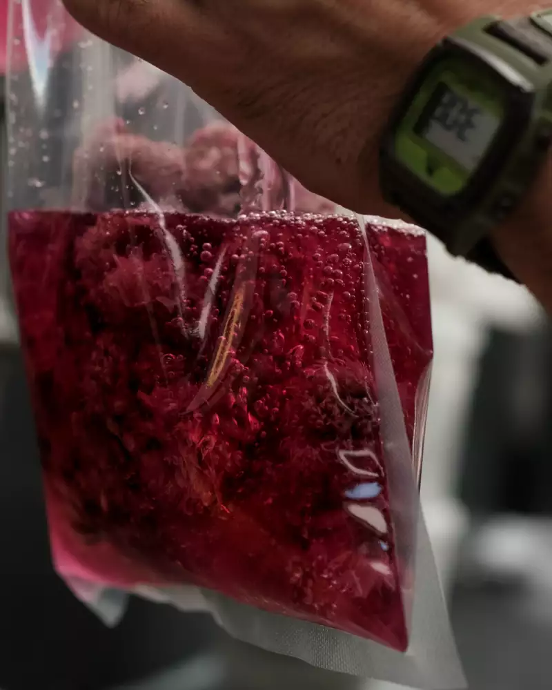 TAKE AWAY Ella Aflalo x Take Away