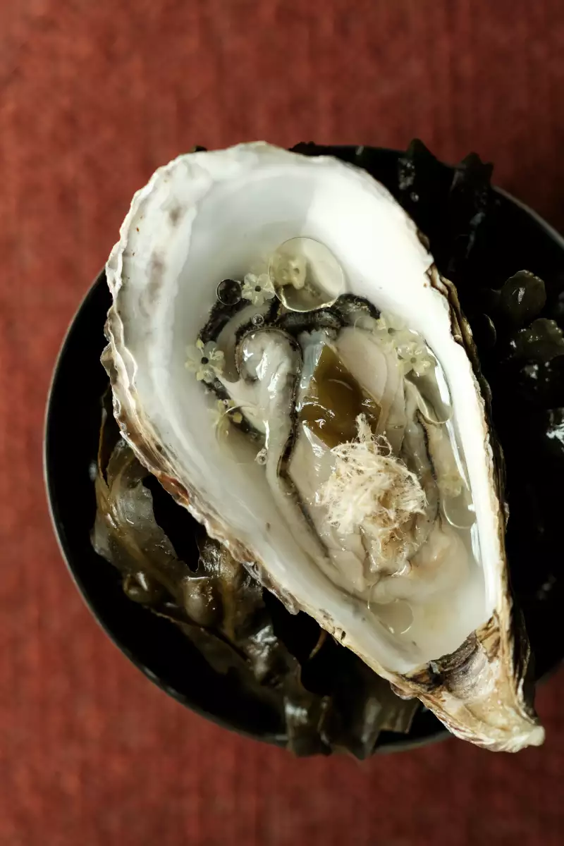 TAKE AWAY Zimmermann