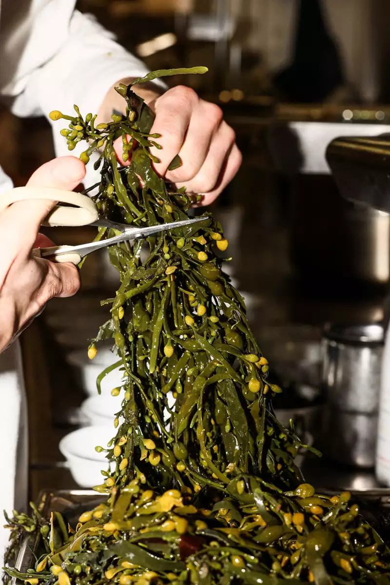 TAKE AWAY Pierre Gagnaire