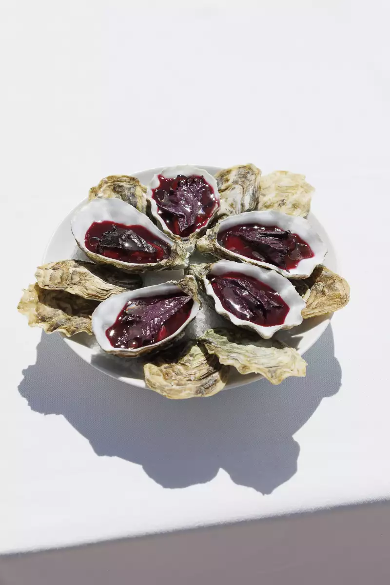 TAKE AWAY Ella Aflalo x Take Away