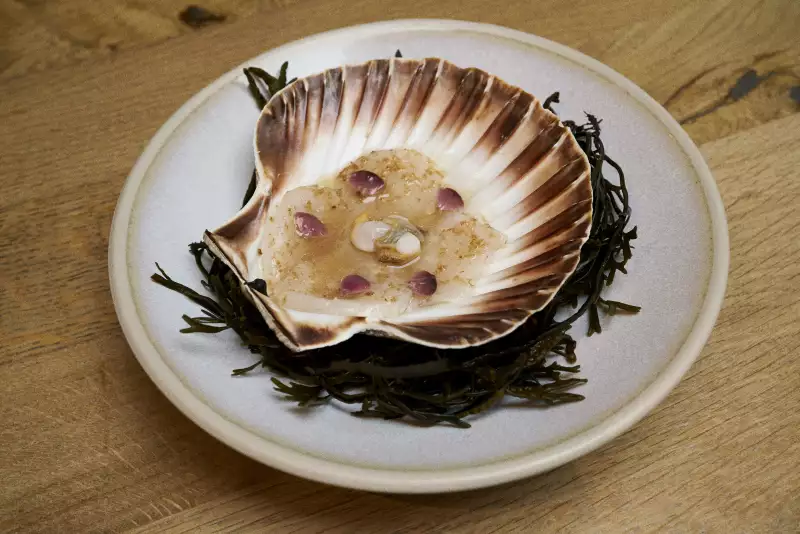 TAKE AWAY Zimmermann