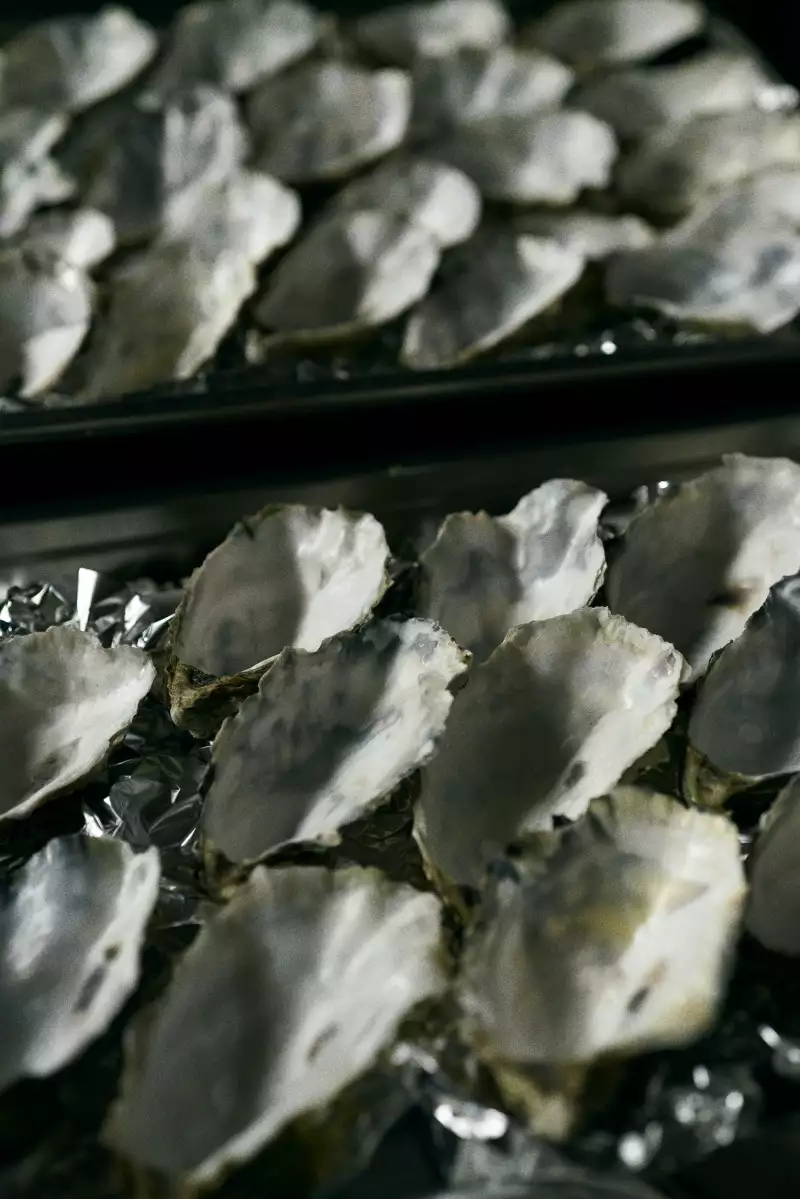 TAKE AWAY Ella Aflalo x Take Away