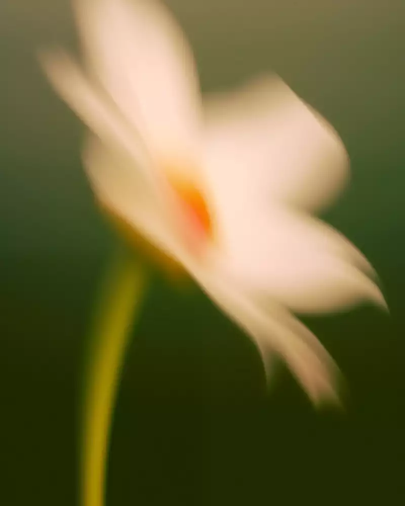 TAKE AWAY Ella Aflalo x Take Away