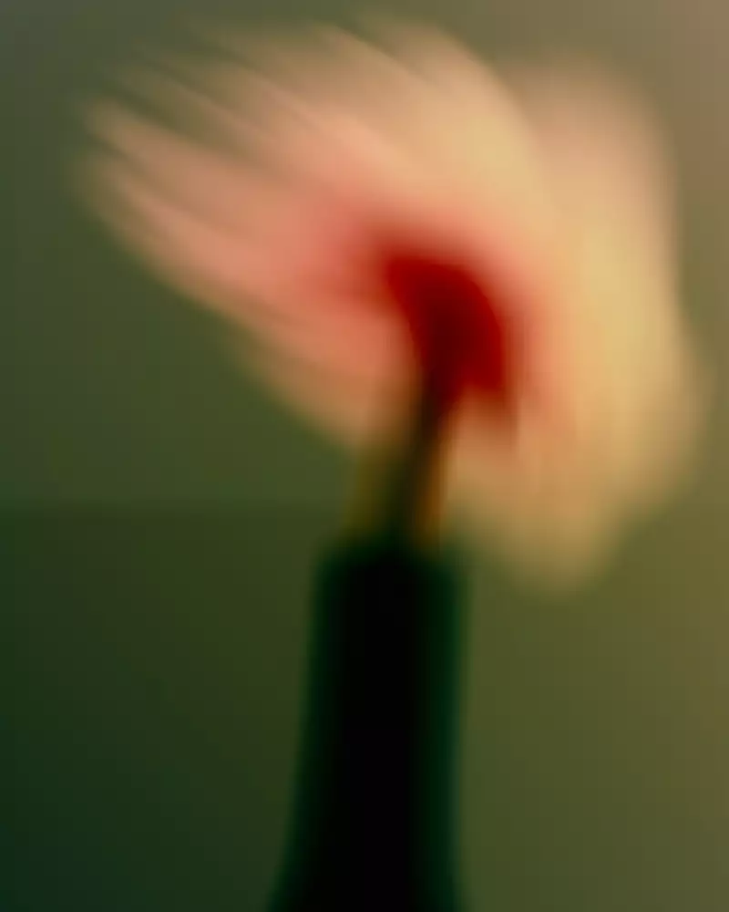 TAKE AWAY Ella Aflalo x Take Away