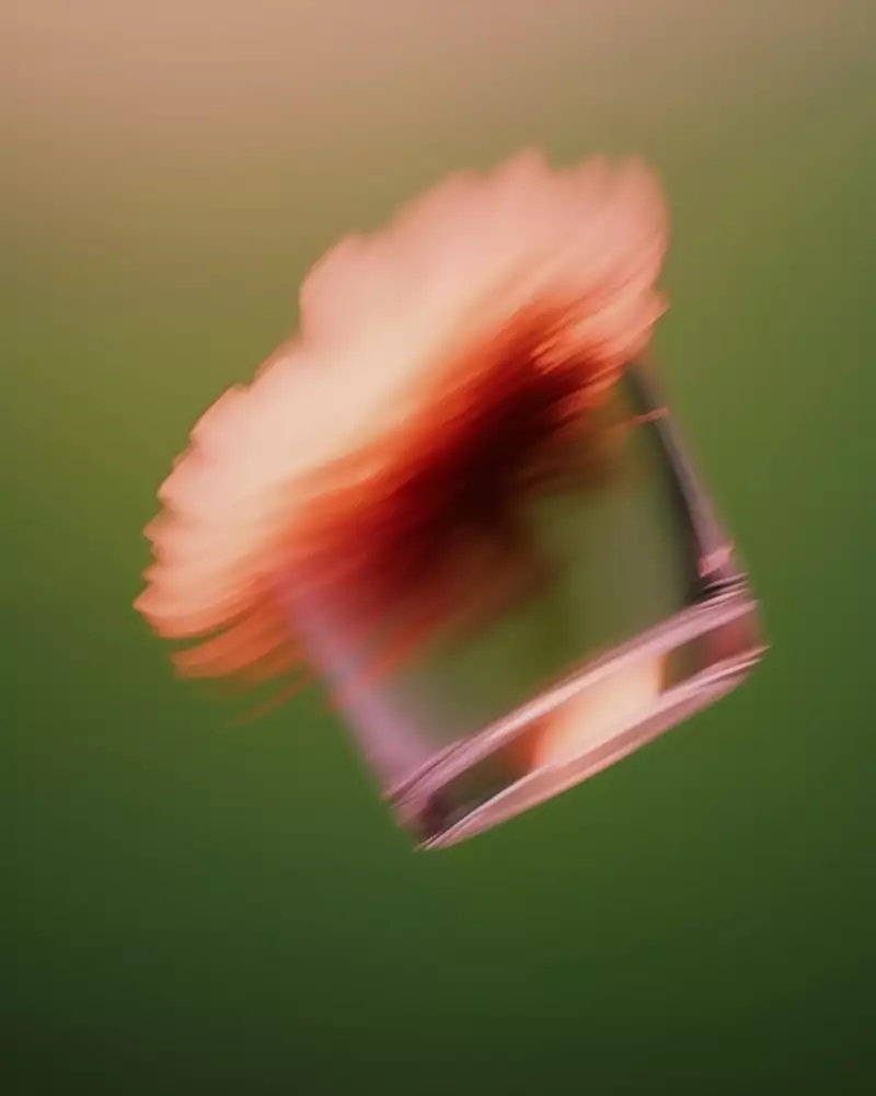 TAKE AWAY Ella Aflalo x Take Away