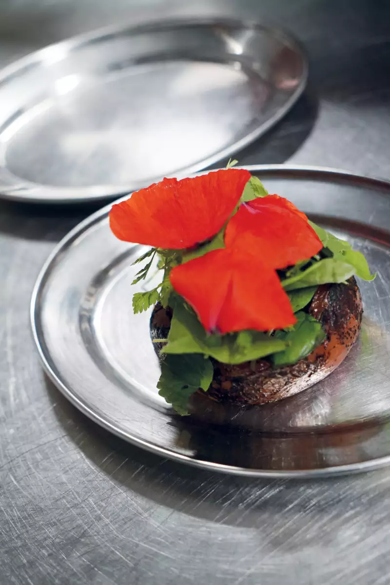 TAKE AWAY Zimmermann