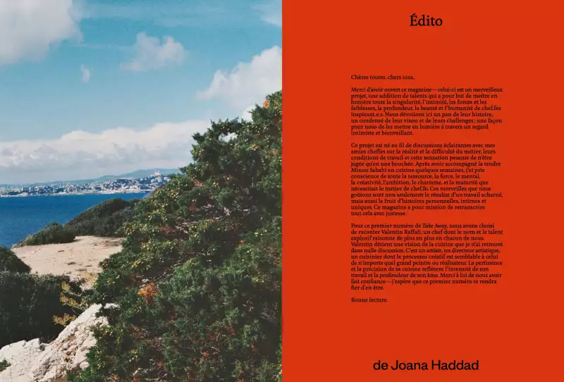 TAKE AWAY Zimmermann